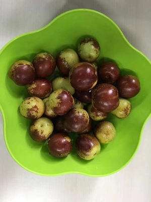 哪里的冬枣最好?山东沾化、河北黄骅、陕西大荔,还是山西、新疆江西或其他地方?