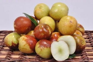 金秋你不上黄骅来走一趟,那就太遗憾了 因为得再等一年