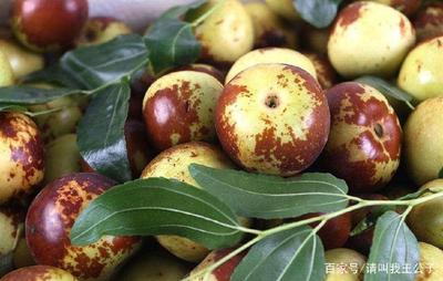 冬枣的营养价值,你知多少