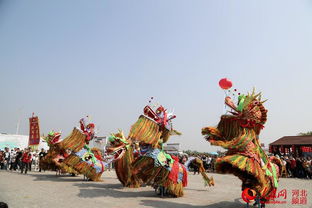 迎佳节庆丰收 沧州黄骅冬枣节热闹登场