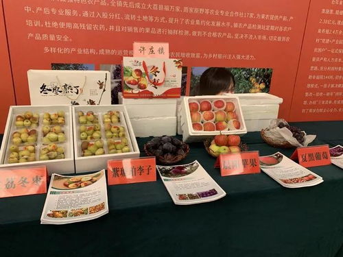 大荔冬枣进军上海市场 签订农产品购销协议5.3万吨