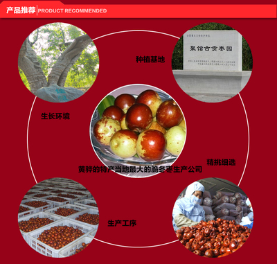 十月红 无核 50克脆冬枣 黄骅脆冬枣 脆甜 脆枣 空心枣 脆冬枣