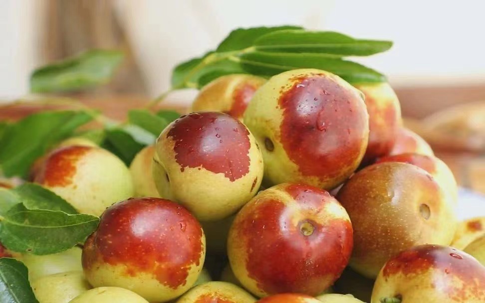 明明是“冬枣”,为什么现在是最佳赏味期?