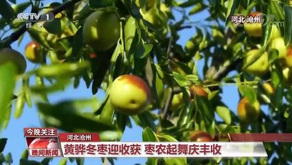 中国农业强不强?村民富不富?答案就在这希望的田野上