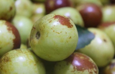 冬枣的功效与作用有哪些?