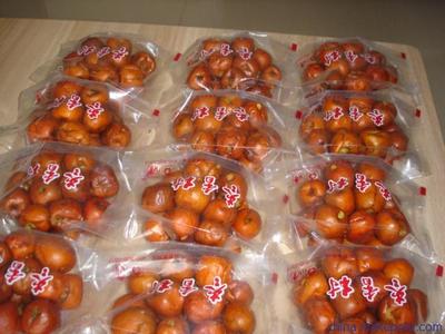 枣香村特产黄骅无核酥脆冬枣 批发零售指南与图片展示