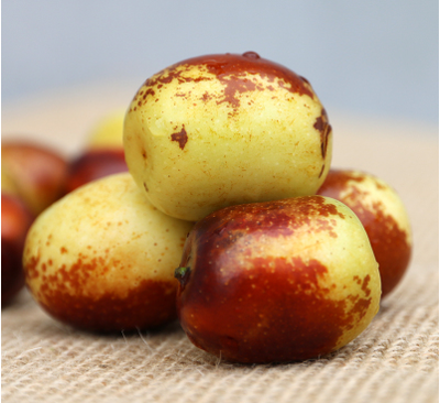 冬枣产地与品质解析 陕西富平与河北黄骅的比较