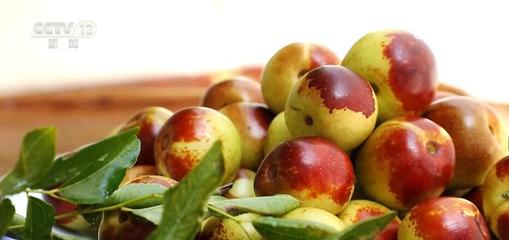 脆甜冬枣喜迎丰收 便捷物流助力农户"枣枣"致富