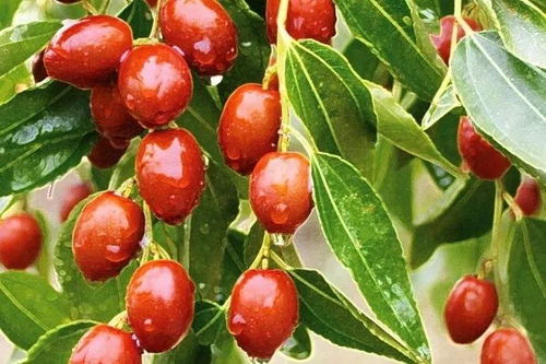 河北,你最牛逼的家乡