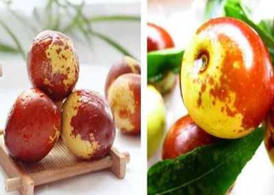 富平县泽瑞源冬枣种植专业合作社与黄骅冬枣的产业发展探析